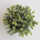 Arranjo Folhagem No Vaso Cerâmica Branco Baixo | Formosinha